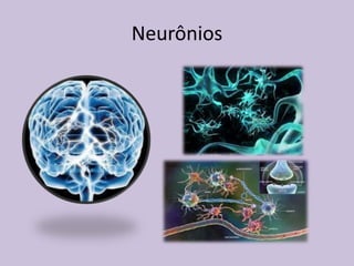 Neurônios
 