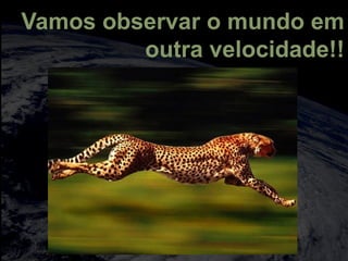 totalmuscularstretching.com.br
vipfisiopersonal.com.br
Vamos observar o mundo em
outra velocidade!!
 