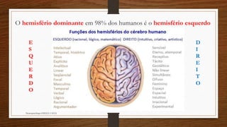 Neuropsicóloga GISELE CALIA
O hemisfério dominante em 98% dos humanos é o hemisfério esquerdo
D
I
R
E
I
T
O
E
S
Q
U
E
R
D
O
 