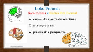 Lobo Frontal:
Área motora e Córtex Pré Frontal
 controle dos movimentos voluntários
 articulação da fala
 pensamento e planejamento
Neuropsicóloga GISELE CALIA
 