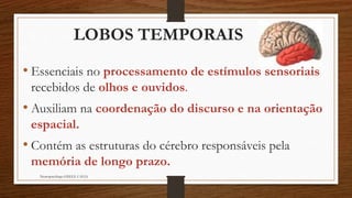 Neuropsicóloga GISELE CALIA
LOBOS TEMPORAIS
• Essenciais no processamento de estímulos sensoriais
recebidos de olhos e ouvidos.
• Auxiliam na coordenação do discurso e na orientação
espacial.
• Contém as estruturas do cérebro responsáveis pela
memória de longo prazo.
 