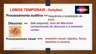 Neuropsicóloga GISELE CALIA
LOBOS TEMPORAIS - funções
Processamento auditivo frequência e localização de
sons.
Discurso lado esquerdo, área de Wernicke:
compreensão do discurso e a memória
verbal.
Processamento visual memória visual: objetos, faces,
detalhes e cenário.
 