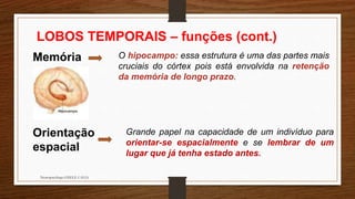 Neuropsicóloga GISELE CALIA
LOBOS TEMPORAIS – funções (cont.)
Memória O hipocampo: essa estrutura é uma das partes mais
cruciais do córtex pois está envolvida na retenção
da memória de longo prazo.
Orientação
espacial
Grande papel na capacidade de um indivíduo para
orientar-se espacialmente e se lembrar de um
lugar que já tenha estado antes.
 