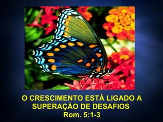 O CRESCIMENTO ESTÁ LIGADO A SUPERAÇÃO DE DESAFIOS  Rom. 5:1-3 
