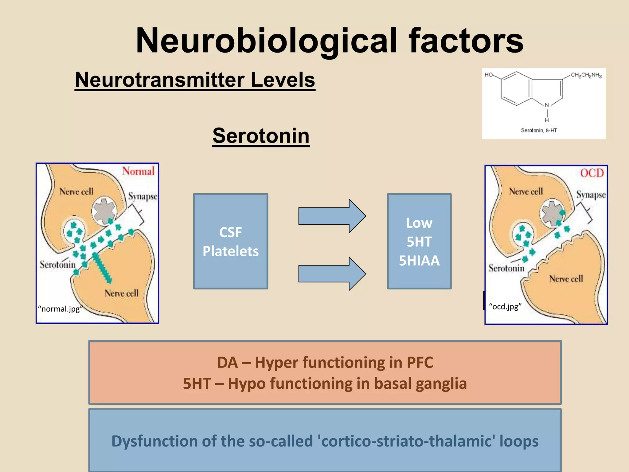 Neurobiological factors
Neurotransmitter Levels
Serotonin
“ocd.jpg”“normal.jpg”
CSF
Platelets
Low
5HT
5HIAA
DA – Hyper functioning in PFC
5HT – Hypo functioning in basal ganglia
Dysfunction of the so-called 'cortico-striato-thalamic' loops
 