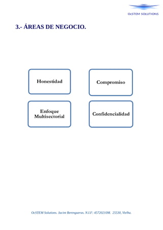 3.- ÁREAS DE NEGOCIO.
OcSTEM Solutions. Jacint Berengueras. N.I.F: 45720210M. 25530, Vielha.
 