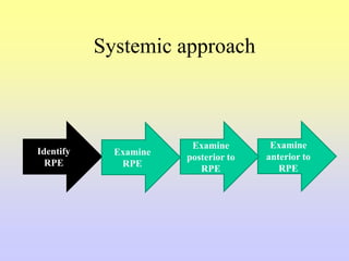 Systemic approach
Identify
RPE
Examine
anterior to
RPE
Examine
RPE
Examine
posterior to
RPE
 