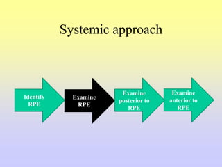Systemic approach
Identify
RPE
Examine
anterior to
RPE
Examine
RPE
Examine
posterior to
RPE
 