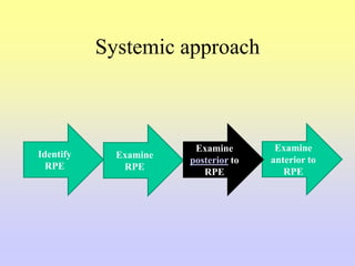 Systemic approach
Identify
RPE
Examine
anterior to
RPE
Examine
RPE
Examine
posterior to
RPE
 