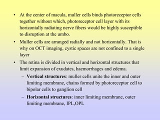 • At the center of macula, muller cells binds photoreceptor cells
together without which, photoreceptor cell layer with its
horizontally radiating nerve fibers would be highly susceptible
to disruption at the umbo.
• Muller cells are arranged radially and not horizontally. That is
why on OCT imaging, cystic spaces are not confined to a single
layer
• The retina is divided in vertical and horizontal structures that
limit expansion of exudates, haemorrhages and edema.
– Vertical structures: muller cells unite the inner and outer
limiting membrane, chains formed by photoreceptor cell to
bipolar cells to ganglion cell
– Horizontal structures: inner limiting membrane, outer
limiting membrane, IPL,OPL
 