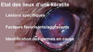 Etat des lieux d’une kératite 
Lésions spécifiques 
Facteurs favorisants/aggravants 
Identification des germes en cause 
 