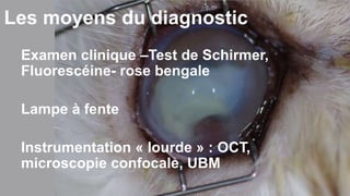 Les moyens du diagnostic 
Examen clinique –Test de Schirmer, 
Fluorescéine- rose bengale 
Lampe à fente 
Instrumentation « lourde » : OCT, 
microscopie confocale, UBM 
 