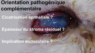 Orientation pathogénique 
complémentaire 
Cicatrisation épithéliale ? 
Epaisseur du stroma résiduel ? 
Implication endoculaire ? 
 