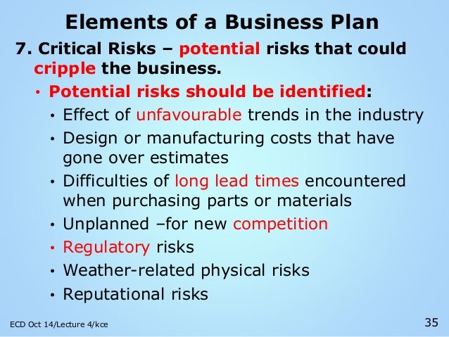 critical risk factors business plan