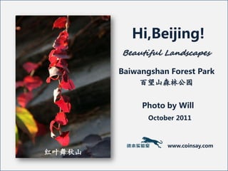 Hi,Beijing!
        Beautiful Landscapes

        Baiwangshan Forest Park
             百望山森林公园


             Photo by Will
               October 2011



                    www.coinsay.com
红叶舞秋山
 