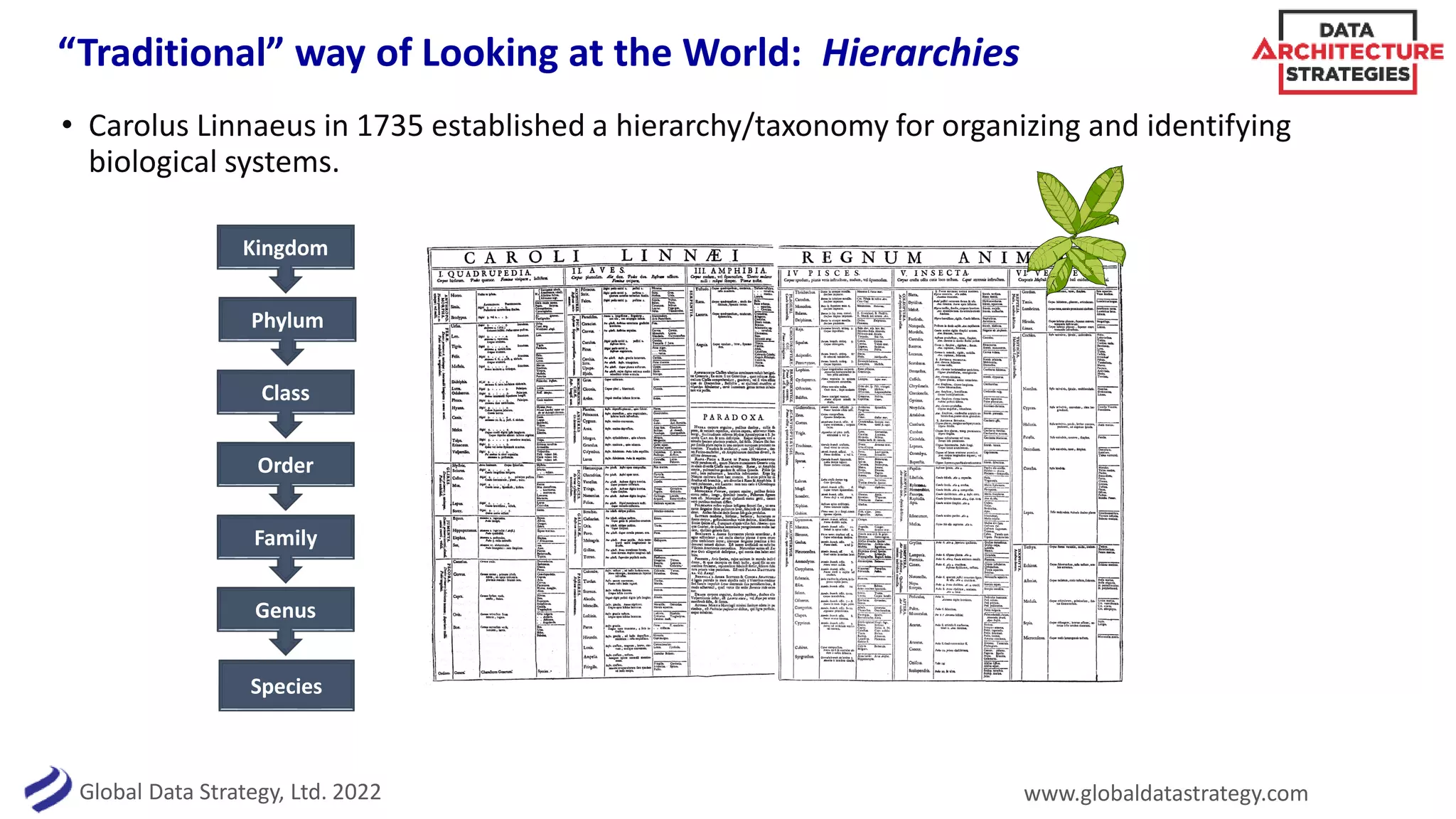 Global Data Strategy, Ltd. 2022 www.globaldatastrategy.com
“Traditional” way of Looking at the World: Hierarchies
• Carolus Linnaeus in 1735 established a hierarchy/taxonomy for organizing and identifying
biological systems.
Kingdom
Phylum
Class
Order
Family
Genus
Species
 