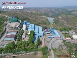 28
APPENDICES
TSX: SVM
NYSE AMERICAN: SVM
 