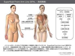 ѥΥ`ʤɤָ򼚤ϾAĤ˄ӤȤˤϡSuperficial Front Arm Lineؓ
ޤǰȺˏ꤬Ҋ褦ʈϤˤϡڂgиοɄԤꡢ
ؽڱΥ`ĤǤԽʽָRҸCϡȤӈR򤫤Τ؏դǤ
ڂgиοɄԤ넿ڴǤޤ
 