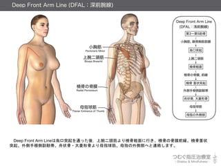 Deep Front Arm LineϞͻͨäᣬ^ǴФǤιĤǰFǾ״
ͻָȸz״?ιǤĸָĸָȲؤBjޤ
 