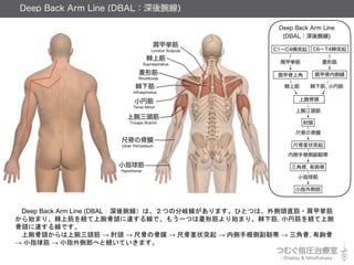 Deep Back Arm Line (DBAL󾀣ϡĤη᪾ޤҤȤĤϡ^ֱ?ג
ʼޤꡢϽU^_뾀ǡ⤦һĤνʼޤꡢ½, СҽU
^_뾀Ǥ
^^  ^  ߹ǤιĤ  ߹Ǿ״ͻ  ڂָȸz  ǹ, ^
 Сָ  СָȲؤȾAƤޤ
 