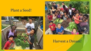 Hope Blooms: Plant a Seed, Harvest a Dream by Hope Blooms