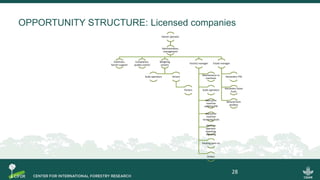 OPPORTUNITY STRUCTURE: Licensed companies
Owner operator
Administration,
management
Extension,
farmer support
Compliance,
quality control
Weighing
centers
Scale operators Drivers
Porters
Factory manager
Maintenance or
mechanic
Scale operators
Manual or
machine
splitting FFB
Manual or
machine
removing fruits
Machine
operator:
steaming,
digesting
Packing palm oil
Drivers
Estate manager
Harvesters FFB
Harvesters loose
fruits
General farm
workers
28
 