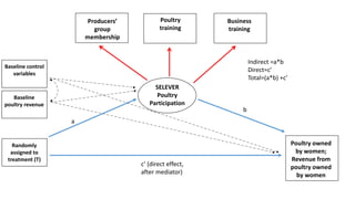 c’ (direct effect,
after mediator)
SELEVER
Poultry
Participation
b
Baseline control
variables
Indirect =a*b
Direct=c’
Total=(a*b) +c’
Poultry
training
Business
training
Producers’
group
membership
Poultry owned
by women;
Revenue from
poultry owned
by women
Baseline
poultry revenue
Randomly
assigned to
treatment (T)
a
 