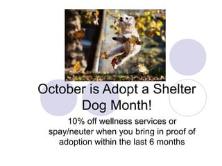 October is Adopt a Shelter
Dog Month!
10% off wellness services or
spay/neuter when you bring in proof of
adoption within the last 6 months
 