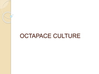 OCTAPACE CULTURE
 