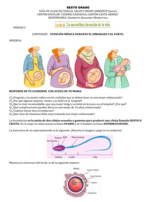 Ser mamá: Guía Del Embarazo, Parto Y Posparto Con Evidencia Y