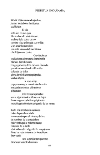166
PERPETUAENCARNADA
TIEMBLANlosintrincadosjardines
juntan los árboles las frentes
cuchichean
Eldía
ardeaúnenmisojos
Hora a hora lo vi deslizarse
anchoyfelizcomounrío
sombrayluzenlazadassusorillas
yunamarilloremolino
una sola intensidad monótona
elsolfijoensucentro
Gravitaciones
oscilacionesdemateriaimpalpable
blancasdemoliciones
congregacionesdelaespumanómada
grandes montañas de allá arriba
colgadasdelaluz
gloriainmóvilqueunparpadeo
vuelveañicos
Yaquíabajo
papayosmangostamarindoslaureles
araucariasexcelsaschirimoyos
elbaniano
másbosquequeárbol
verdealgarabíademillonesdehojas
frutosnegruzcosbolsaspalpitantes
murciélagosdormidoscolgandodelasramas
Todo era irreal en su demasía
Sobrelaparedencalada
teatro escrito por el viento y la luz
lassombrasdelaenredadera
másverdequelapalabramarzo
máscara de la tarde
abstraída en la caligrafía de sus pájaros
Entrelasrejastrémulasdelosreflejos
ibayvenía
una lagartija transparente
Graciosa terrible diminuta
 