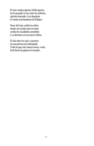17
Elmarrespira apenas,brilla apenas.
Se ha parado la luz entre los árboles,
ejércitodormido.Losdespierta
elvientoconbanderasde follajes.
Nace delmar,asalta la colina,
oleaje sincuerpoque revienta
contra loseucaliptosamarillos
yse derrama enecosporelllano.
El día abre los ojos ypenetra
enuna primavera anticipada.
Todoloque mismanostocan,vuela.
Está llenode pájaroselmundo.
 