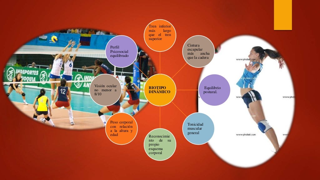 HISTORIA DEL VOLEIBOL HISTORIA DEL VOLEIBOL