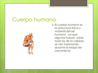 Cuerpo humano
              El cuerpo humano es
               la estructura física y
               material del ser
               humano ya que
               algunos huesos sobre
               todo los de la cabeza
               se van fusionando
               durante la etapa de
               crecimiento
 