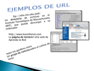 EJEMPLOS DE URLftp://rtfm.mit.edu/pub/Un directorio de archivos en el Instituto Tecnológico de Massachusetts (MIT), que puede descargar a su ordenadorhttp://www.learnthenet.comLa página de iniciodel sitio web de Aprenda la Rednews:rec.gardens.rosesUn grupo de noticiassobre el cultivo de rosas