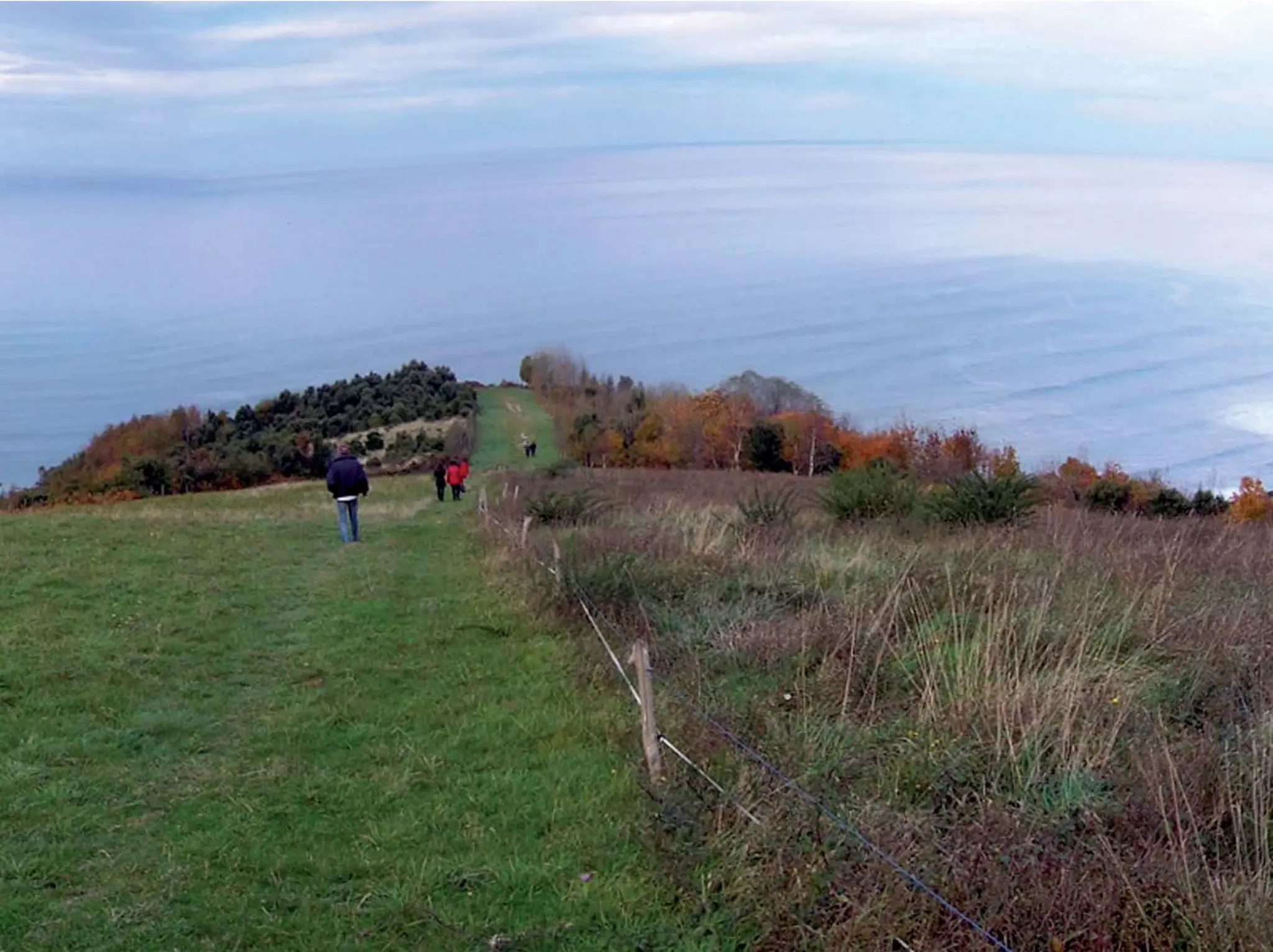 Octavos Encuentros Quintos