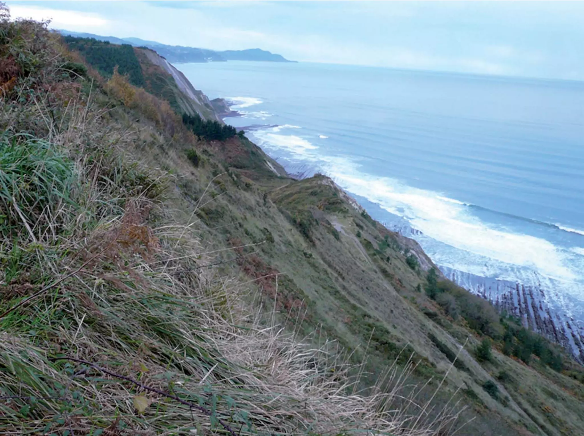 Octavos Encuentros Quintos