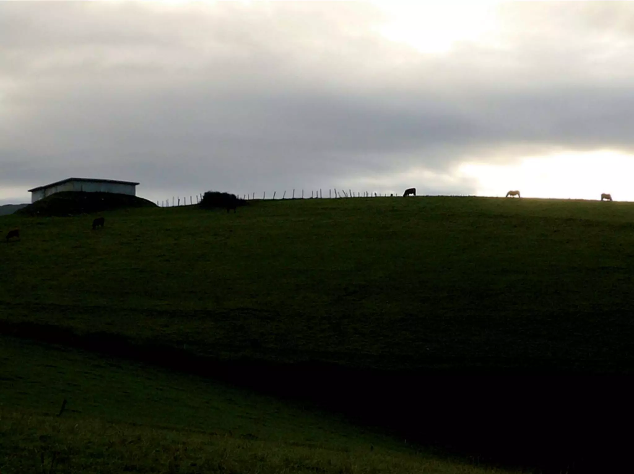 Octavos Encuentros Quintos