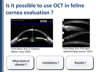 Is it possible to use OCT in feline
cornea evaluation ?




  From Doors & al. (J. Cataract   From Pang & al. (The open
  Refract. Surg. 2010)            ophthalmology Journal 2011)
 