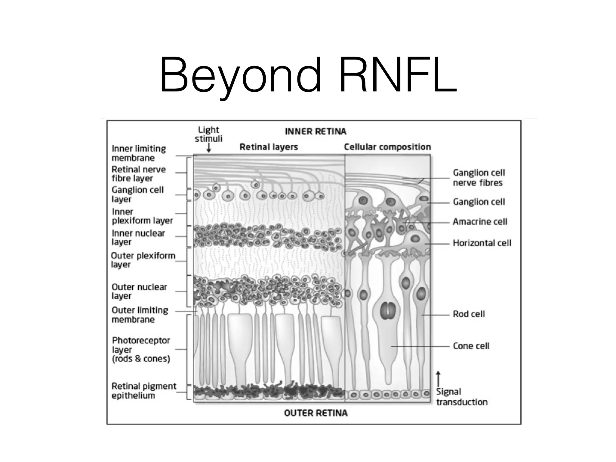 Beyond RNFL 
 