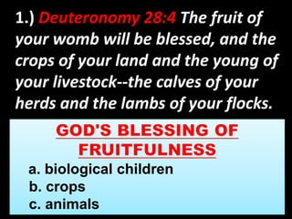 1.) Deuteronomy 28:4 The fruit of 
your womb will be blessed, and the 
crops of your land and the young of 
your livestock--the calves of your 
herds and the lambs of your flocks. 
a. biological children 
b. crops 
c. animals 
 