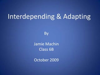 Interdepending & Adapting By Jamie Machin Class 6B October 2009 