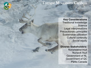 Key Considerations
Traditional knowledge
Science
Legal interpretations
Precautionary principles
Sustainable utilization
Cultural continuity
Social equity
Diverse Stakeholders:
Nunatsiavut Inuit
Nunavik Inuit
Government of NL
Government of QC
Parks Canada
Torngat Mountains Caribou
 