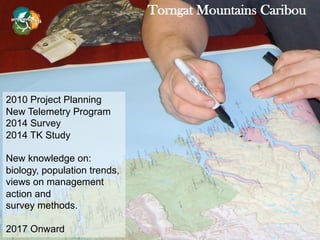 Torngat Mountains Caribou
2010 Project Planning
New Telemetry Program
2014 Survey
2014 TK Study
New knowledge on:
biology, population trends,
views on management
action and
survey methods.
2017 Onward
 