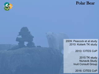 Polar Bear
2009: Peacock et al study
2010: Kotierk TK study
2013: CITES CoP
2015 TK study
Nunavik Study
Inuit Consult Group
2016: CITES CoP
 