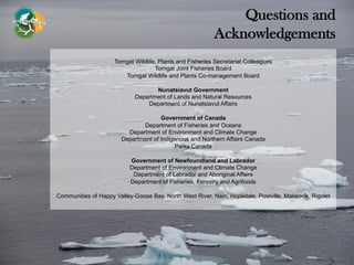 Torngat Wildlife, Plants and Fisheries Secretariat Colleagues
Torngat Joint Fisheries Board
Torngat Wildlife and Plants Co-management Board
Nunatsiavut Government
Department of Lands and Natural Resources
Department of Nunatsiavut Affairs
Government of Canada
Department of Fisheries and Oceans
Department of Environment and Climate Change
Department of Indigenous and Northern Affairs Canada
Parks Canada
Government of Newfoundland and Labrador
Department of Environment and Climate Change
Department of Labrador and Aboriginal Affairs
Department of Fisheries, Forestry and Agrifoods
Communities of Happy Valley-Goose Bay, North West River, Nain, Hopedale, Postville, Makkovik, Rigolet
Questions and
Acknowledgements
 