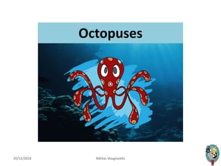 19/12/2016 Nikitas Vougiouklis 1
Octopuses
 