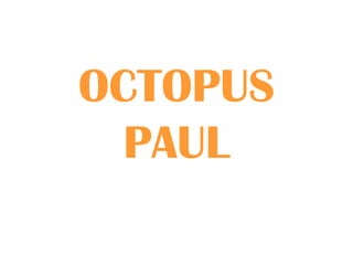OCTOPUS PAUL 