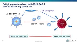 Bridging proteins direct anti-CD19 CAR T
cells to attack any tumor cell
anti-tumor protein
13 OCTS July 7-9, 2020
PromoterCAR192Adualepitopebridgingprotein
CAR19CD19
CAR19
Tumor
Celltumor
antigen
binding
CD19
CAR19
PromoterCAR192Adualepitopebridgingprotein
CAR19CD19
anti-CD19 CAR T cell
add CAR T cells
tumor cells are killedCAR T cell sees CD19
 