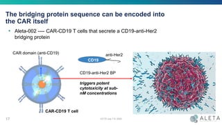 The bridging protein sequence can be encoded into
the CAR itself
CD19-anti-Her2 BP
triggers potent
cytotoxicity at sub-
nM concentrations
OCTS July 7-9, 202017
CAR-CD19 T cell
CAR domain (anti-CD19)
• Aleta-002 ---- CAR-CD19 T cells that secrete a CD19-anti-Her2
bridging protein
PromoterCAR192Adualepitopebridgingprotein
CAR19CD19
anti-Her2
 